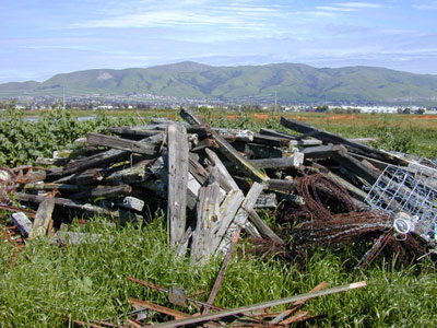 Fremont Raceway locale in 2006